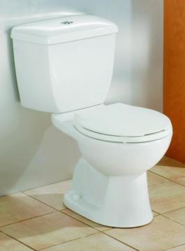 example of a low flow toilet